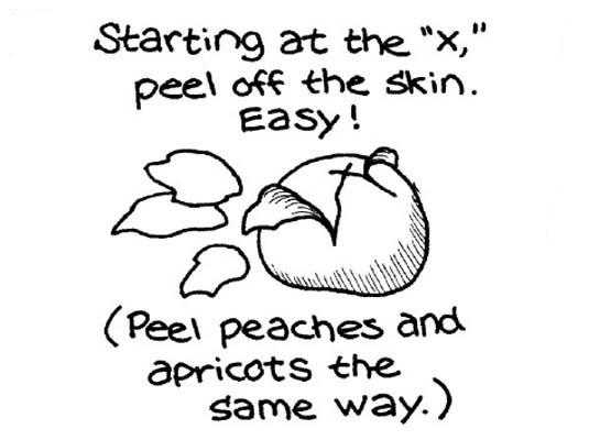 Frische Tomaten schälen, entkernen und hacken