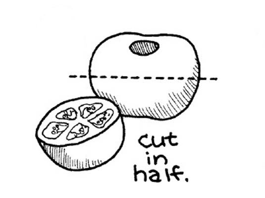 Frische Tomaten schälen, entkernen und hacken