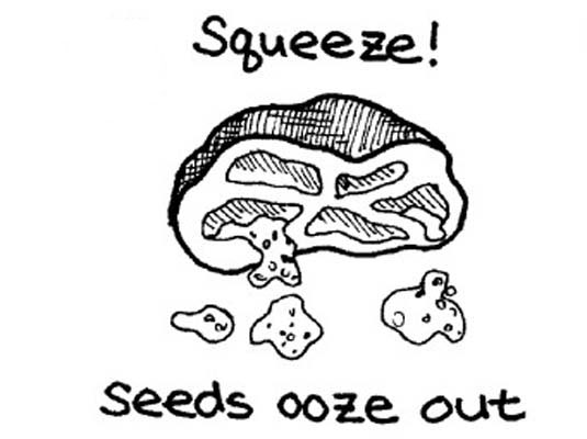 Frische Tomaten schälen, entkernen und hacken