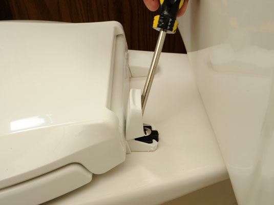 So ersetzen Sie einen Toilettensitz