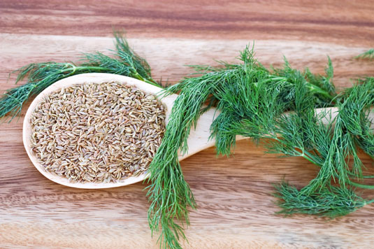 Ein Geschmack des Mittelmeers: Top 10 Kräuter und Gewürze