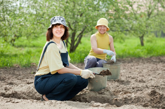Gemeinsame Softscape-Elemente für Ihren hühnerfreundlichen Garten