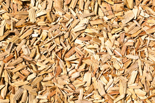 Gemeinsame Softscape-Elemente für Ihren hühnerfreundlichen Garten