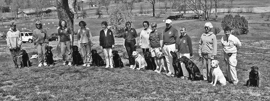 Gehorsamstraining für Hunde