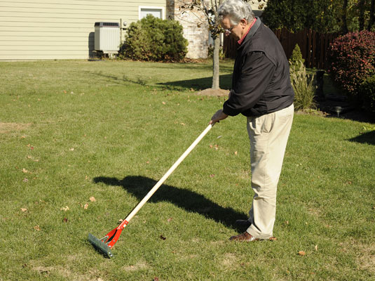 Natürliche Alternativen zu Gartenchemikalien