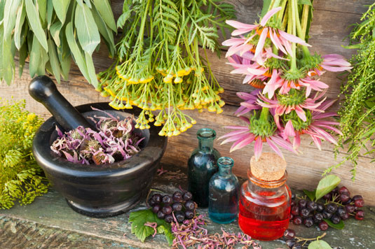 10 immunaufbauende Zutaten für Saft und Smoothies