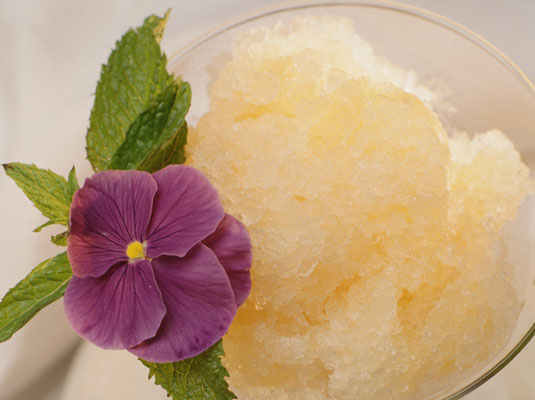 Frische Beeren Granita