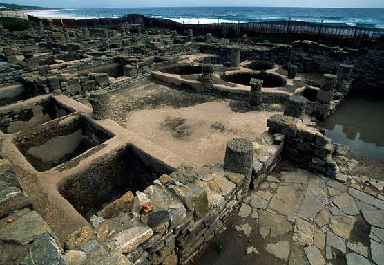 So wählen Sie Ihre Charcuterie-Gewürze aus
