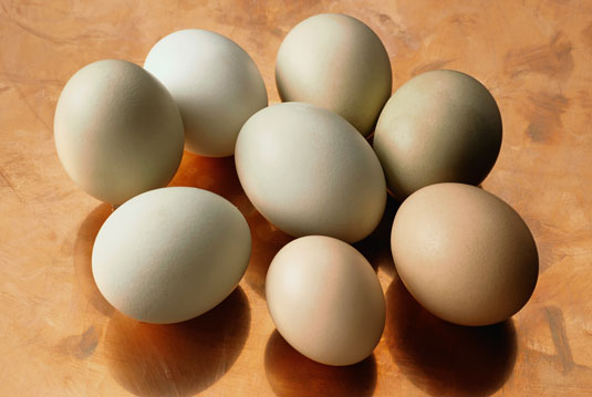 Wie kaufe ich Eier?