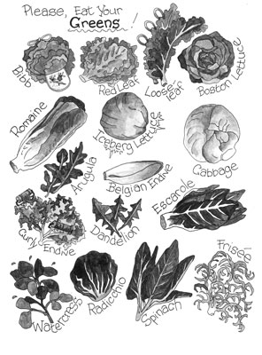 Identifizieren von Salat (oder milden Grüns)