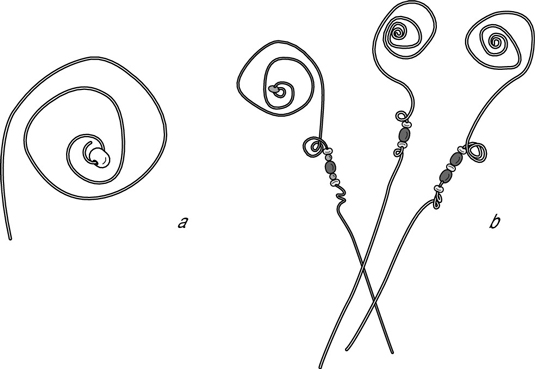 Wie erstelle ich einen skurrilen Wire-Scroll-Fotohalter?