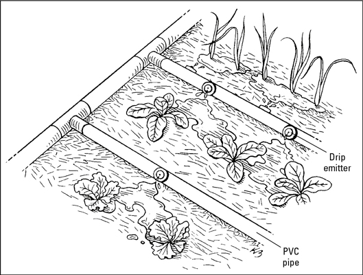Bewässerungssysteme für Ihren Gemüsegarten