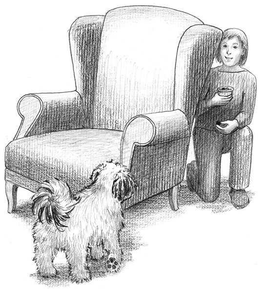 10 (oder so) Hundespiele zum Spielen