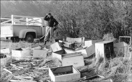 So halten Sie größere Tiere aus Ihrem Bienenstock
