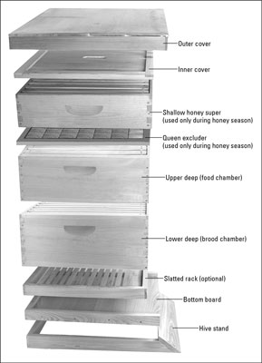 So identifizieren Sie die grundlegenden Holzteile eines Bienenstocks