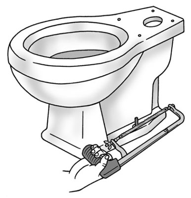 So entfernen Sie eine Toilette