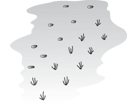 Wie man einen Rasen mit Grassoden pflanzt
