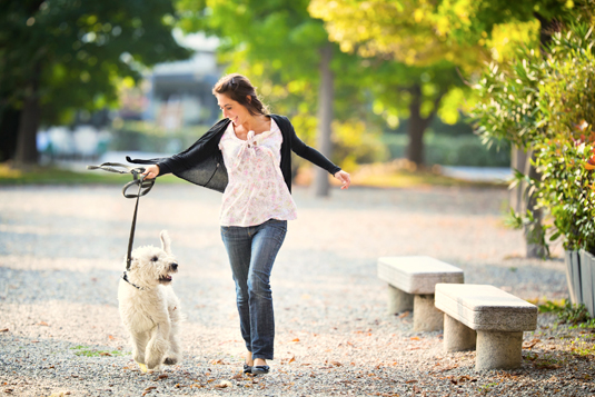 So finden Sie Zeit, um Ihren Hund zu trainieren