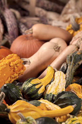 Wie man glasierten Winterkürbis herstellt