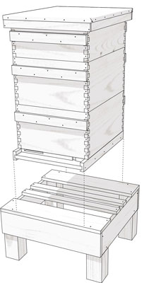 Wie man einen erhöhten Bienenstockständer zusammenbaut