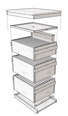 Wie man den Langstroth-Beuten zusammenbaut