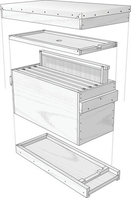 So bauen Sie den Nuc Hive mit fünf Rahmen zusammen