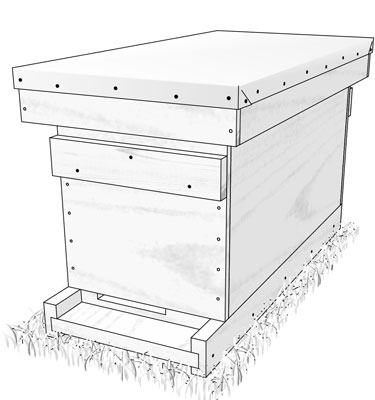 Liste der wichtigsten Statistiken und Materialien für Nuc Hive mit fünf Rahmen