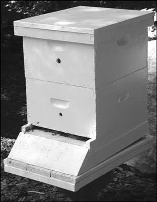 11 Tipps zur Verlängerung der Lebensdauer Ihrer Bienenstockausrüstung