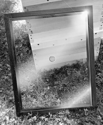 11 Möglichkeiten, Ihre Bienenstöcke zu verkleiden