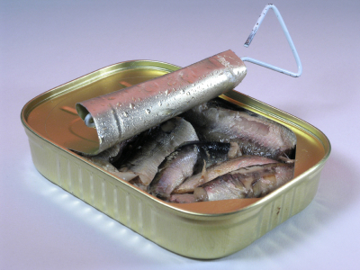 Sardinenaufstrich-Rezept für RDS-Betroffene