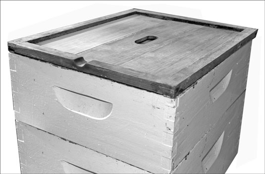 Die Teile eines Bienenstocks