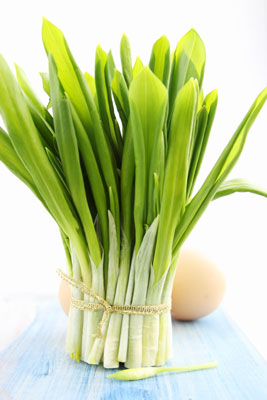 Lauch in Vinaigrette (Poireaux à la Vinaigrette)