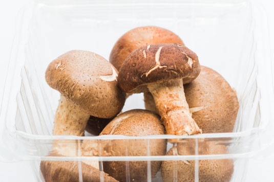 Wie man ein Sandwich mit gebratenen Pilzen macht