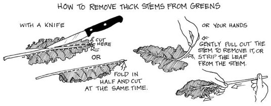 Starten Sie gesund in einen guten Tag mit grünen Smoothies