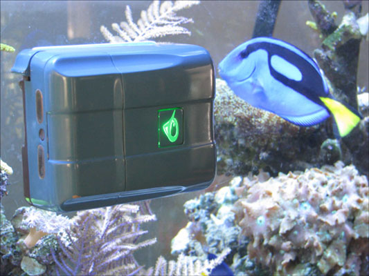 RoboSnail automatisiert die Aquariumreinigung