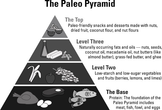 Die Paleo-Pyramide