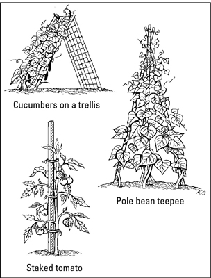 Gartenpfähle, Spaliere und Käfige für Ihren essbaren Garten