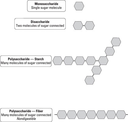 Die sogenannten einfachen Kohlenhydrate
