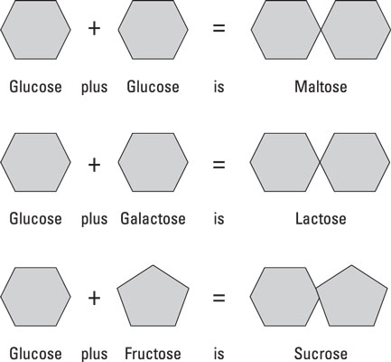 Die sogenannten einfachen Kohlenhydrate