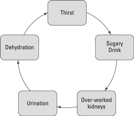 Die Bedeutung von Flüssigkeitszufuhr und kohlenhydratarmen Getränken