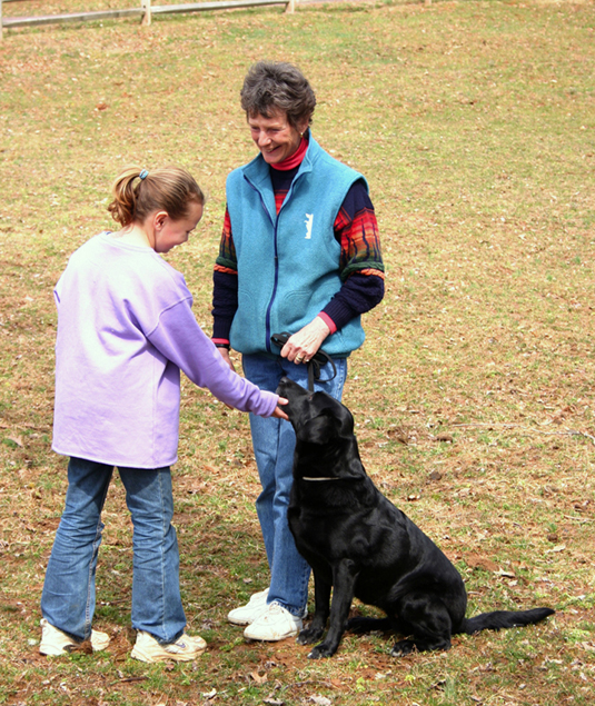 Eine Sammlung von Bildern von Canine Good Citizen Test an einem Tag für aFamilyToday