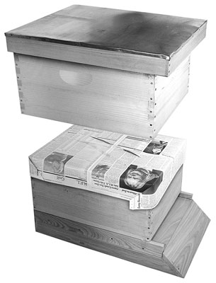 Aus zwei einen Langstroth-Bienenstock machen